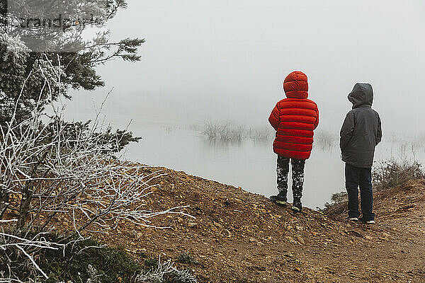 Rückansicht von zwei Brüdern  die an einem nebligen Tag einen zugefrorenen See betrachten
