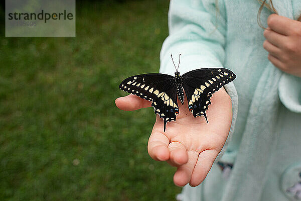 Hohe Winkel Ansicht des Mädchens hält Schmetterling  während in ihrem Garten stehen