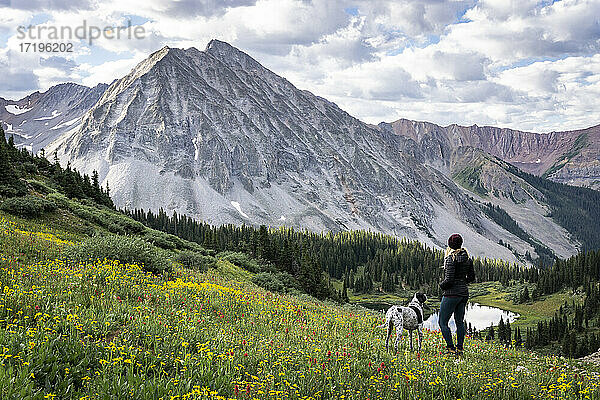 Weibliche Wanderin mit Hund betrachtet die Aussicht von einem Berg gegen den bewölkten Himmel