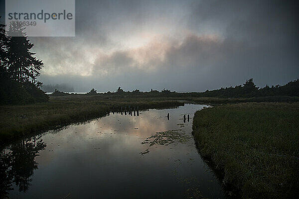 Ein Kanal in der Salt Creek Recreation Area auf der Olympic Peninsula in Washington.