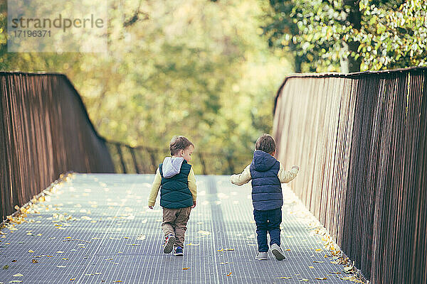 Eine Rückansicht von zwei Kleinkind Jungen zu Fuß im Herbst Park über Brücke