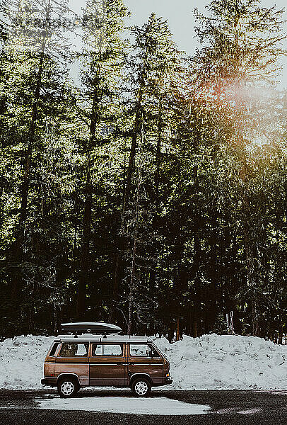 VW Van vor hohen immergrünen Bäumen mit Schnee und Sonnenschein geparkt