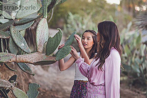 Asiatische Mutter und Tochter  die einen Kaktus berühren.