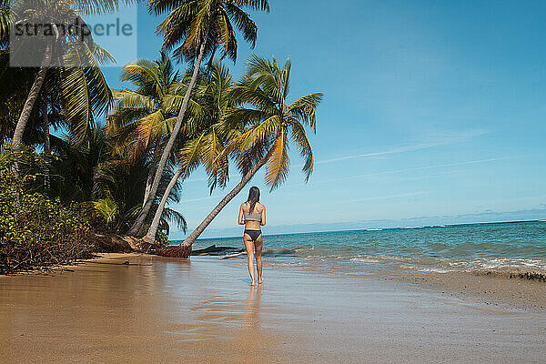 Mädchen und Palmen beim Entspannen am Strand von Puerto Rico
