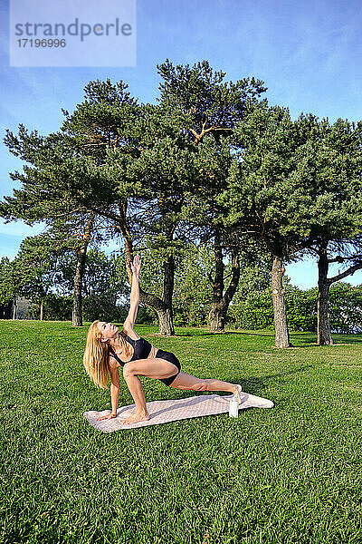 Weiblicher Yogi macht eine gedrehte Dreieckspose draußen an einem sonnigen Tag im Park