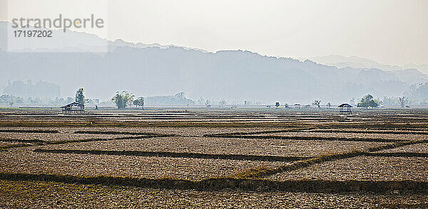 ausgetrocknetes Reisfeld in Laos