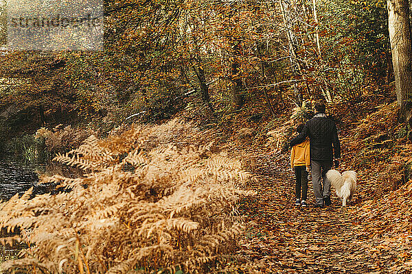 Rückansicht eines Vaters  der seinen Sohn umarmt  und eines Hundes  der im Herbst auf dem Treidelpfad spazieren geht