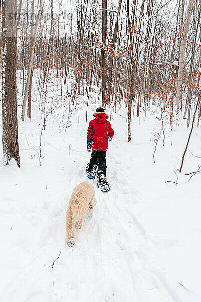 Kleiner Junge geht mit seinem Hund an einem verschneiten Wintertag im Wald Schneeschuhwandern.