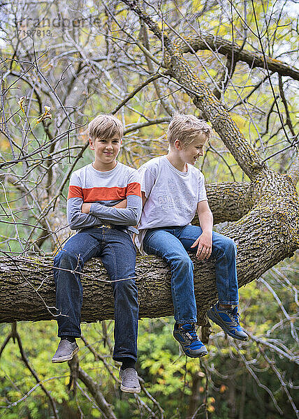 Zwei kleine Jungen sitzen auf einem Ast im Wald.