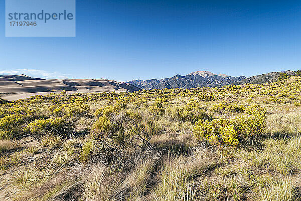 Wüstenlandschaft im Sanddünen-Nationalpark  Colorado