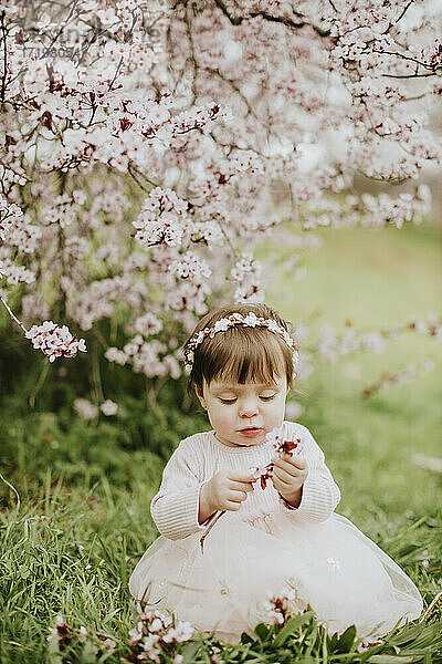 Kleines Mädchen spielt mit Kirschbaumblüten im Frühling