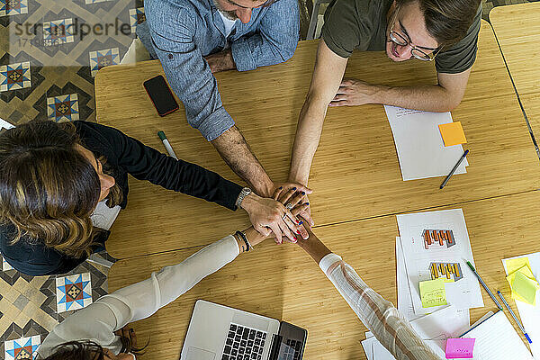 Männliche und weibliche Unternehmer  die sich während einer Besprechung im Büro die Hände reichen