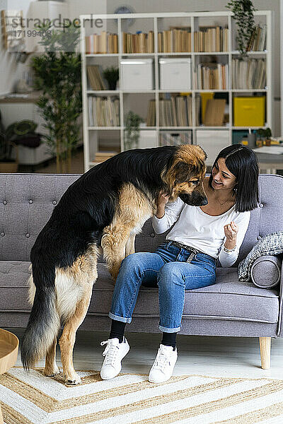 Lächelnde junge Frau  die mit ihrem Hund spielt  während sie auf dem Sofa im Wohnzimmer sitzt