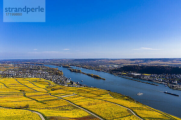 Deutschland  Hessen  Rüdesheim am Rhein  Blick aus dem Hubschrauber auf die Stadt am Rhein und die umliegenden Weinberge in der Rheinschlucht