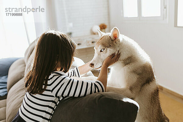 Mädchen streichelt Siberian Husky  während sie sich zu Hause auf das Sofa lehnt