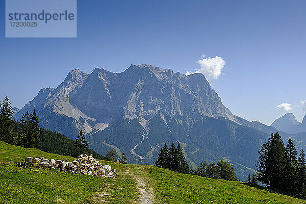 Brennholz liegt neben einem Bergwanderweg mit der Zugspitze im Hintergrund