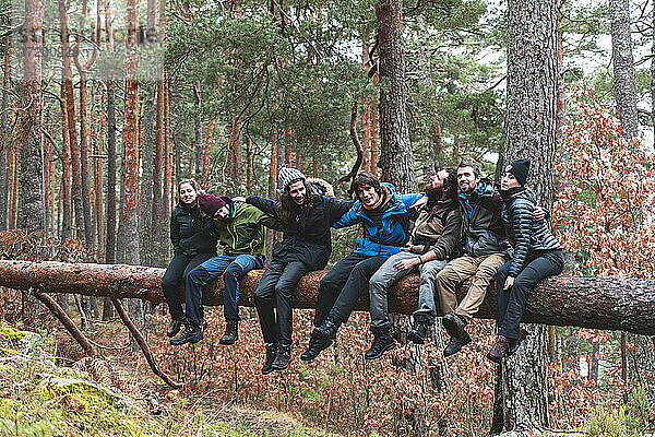 Gruppe von Wanderern  die gemeinsam auf einem umgestürzten Baum im Herbstwald sitzen