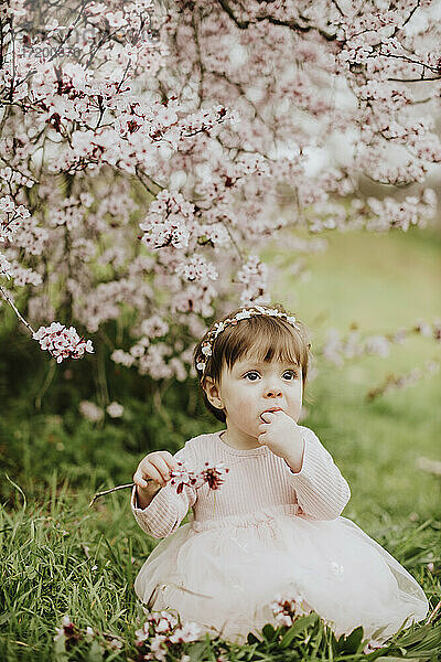 Kleines Mädchen spielt mit Kirschbaumblüten im Frühling