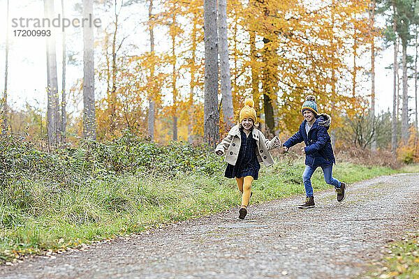Fröhliche Geschwister spielen beim Laufen auf einem Waldweg