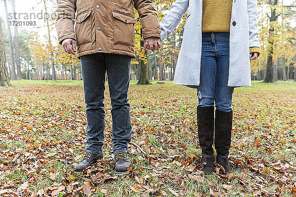 Paar hält sich an den Händen  während es auf gefallenen Blättern im Wald im Herbst steht