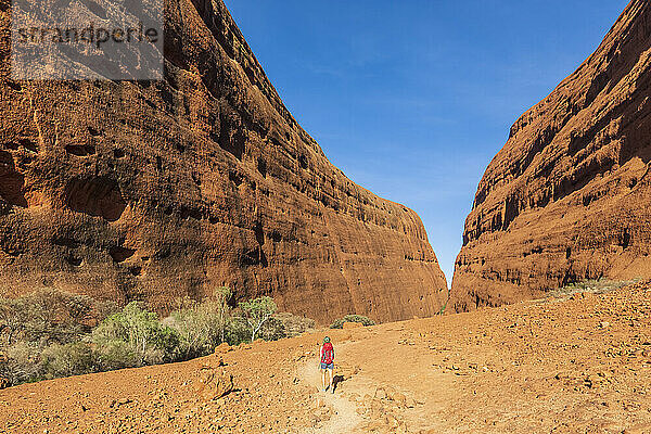 Australien  Northern Territory  Wandern im Uluru Kata Tjuta National Park in der Zentralaustralischen Wüste