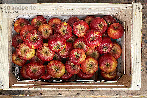 Kiste mit roten reifen Äpfeln