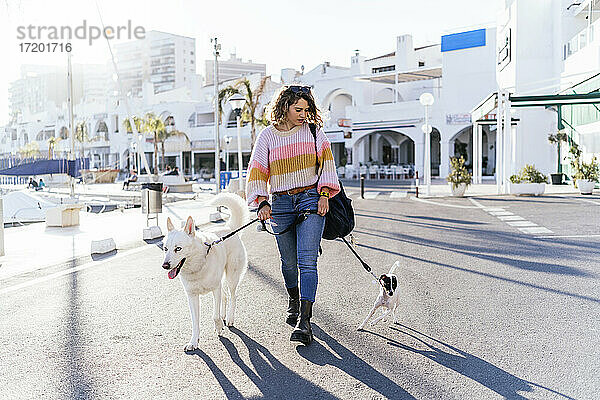 Frau inmitten eines Siberian Husky und eines Jack Russell Terriers beim Spaziergang auf der Straße in der Stadt