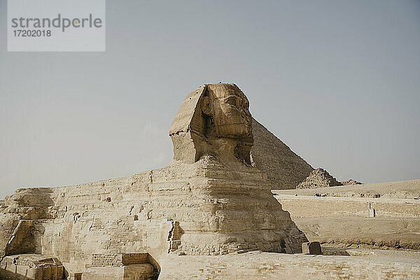 Ägypten  Kairo  Große Sphinx von Gizeh
