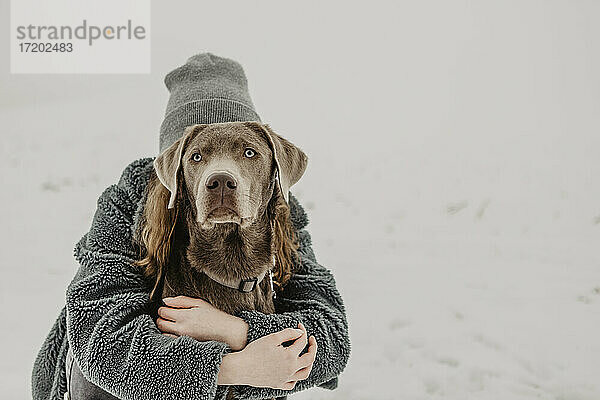 Teenager-Mädchen  das im Schnee kauert und einen Labrador Retriever umarmt