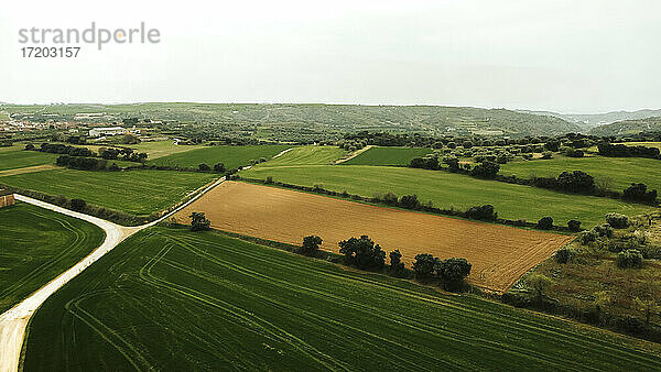 Grüne Agrarlandschaft vor klarem Himmel von einer Drohne aus gesehen
