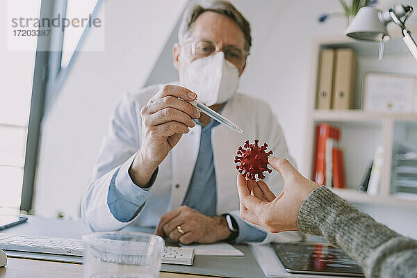 Experte mit Gesichtsschutz  der einem Patienten das Coronavirus an einem künstlichen Modell erklärt  während er im Büro sitzt
