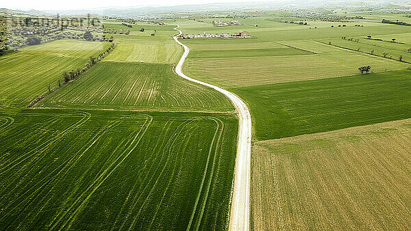 Grünes ländliches Land mit unbefestigter Straße von einer Drohne aus gesehen