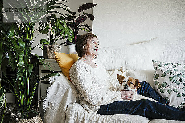 Lächelnde Frau mit Jack Russell Terrier  die wegschaut  während sie zu Hause auf dem Sofa sitzt
