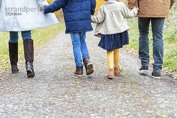 Familie  die sich gegenseitig an den Händen hält  während sie auf einem Waldweg spazieren geht