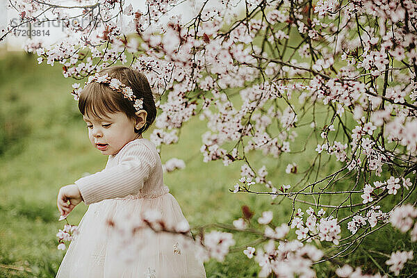 Baby Mädchen spielt mit Blumen von Kirschbaum im Frühling