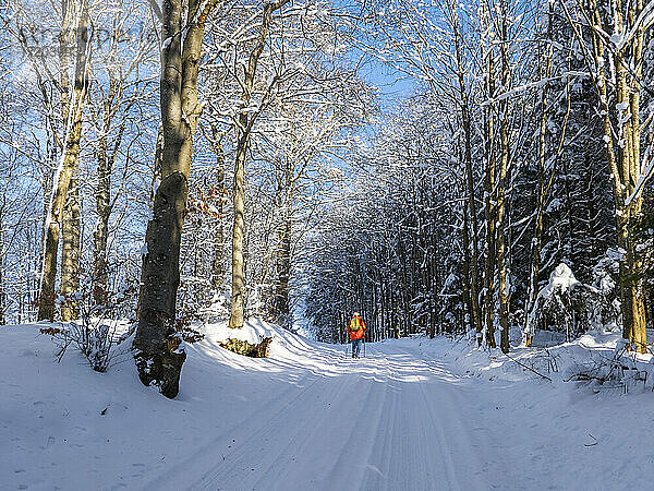 Deutschland  Schwarzwald  Freiamt  Person beim Wandern auf dem Schillinger Berg im Winter