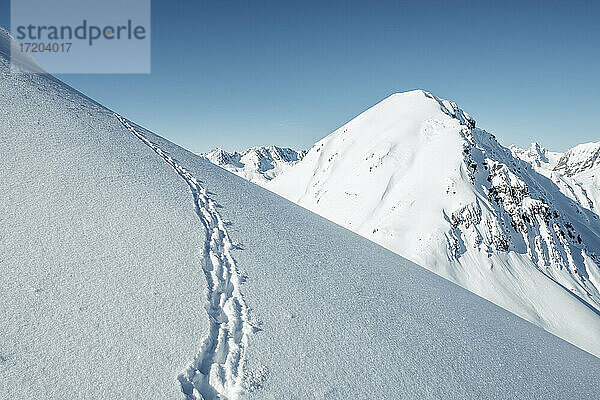 Gämsfährten auf schneebedeckten Bergen gegen den Himmel  Lechtaler Alpen  Tirol  Österreich