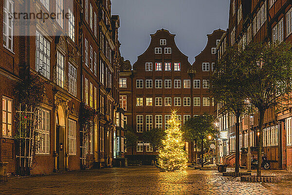 Deutschland  Hamburg  Weihnachtsbaum in der Peterstraße im Komponistenviertel