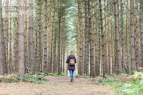 Frau mit Rucksack inmitten von Bäumen im Wald