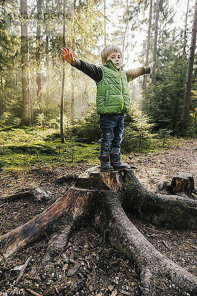 Junge mit ausgestreckten Armen auf einem Baumstumpf im Wald stehend