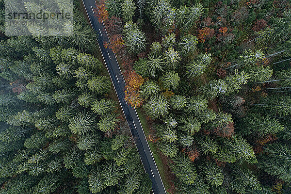 Drohnenansicht einer Autobahn  die sich durch die grünen Wälder des Schwarzwalds schlängelt