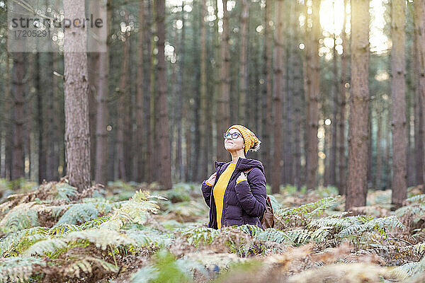 Frau schaut nach oben  während sie im Herbst den Wald erkundet