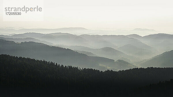 Blick auf das Schwarzwaldgebirge  Hornisgrinde in Baden-Württemberg  Deutschland