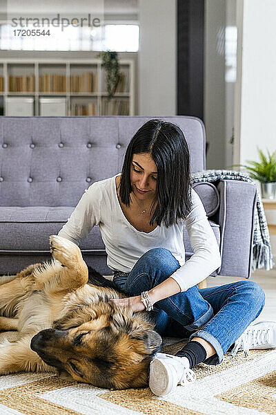 Verspielte junge Frau  die mit ihrem Hund spielt  während sie zu Hause auf dem Teppich sitzt