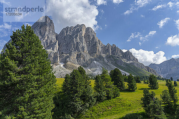 Panoramablick auf das Wurzjoch und den Peitlerkofel im Sommer