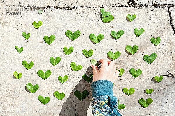 Mädchen arrangiert herzförmige grüne Blätter Muster auf Zement