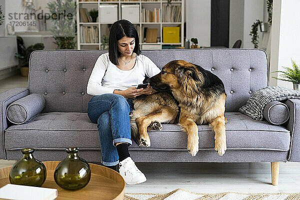 Junge Frau benutzt ein Mobiltelefon  während sie mit ihrem Hund auf dem Sofa im Wohnzimmer sitzt