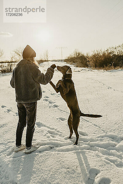 Teenager-Mädchen spielt mit Hund im Schnee bei Wintersonnenaufgang