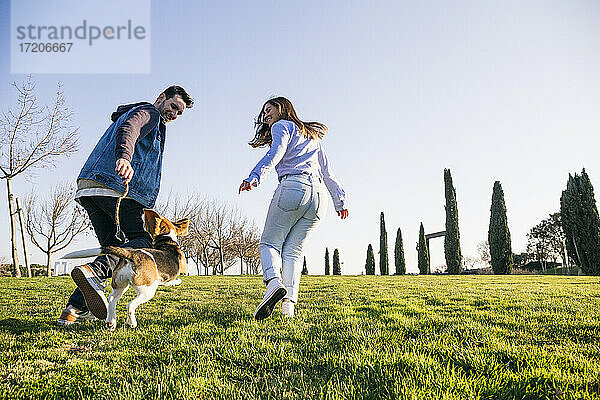 Mittlerer erwachsener Mann und Frau laufen mit Hund beim Spielen im Park