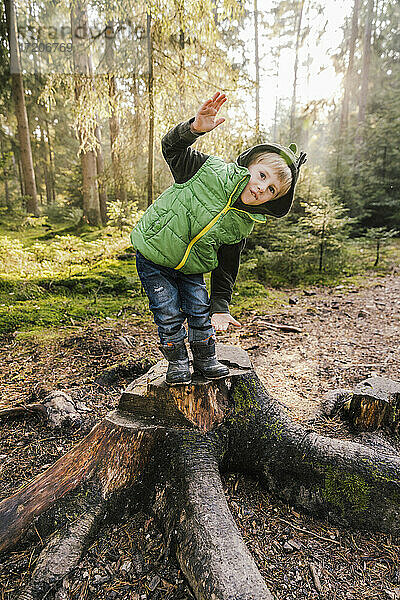 Verspielter Junge  der auf einem Baumstumpf im Wald steht und gestikuliert